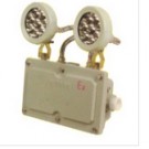 消防應(yīng)急燈